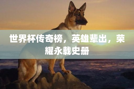 世界杯传奇榜，英雄辈出，荣耀永载史册广西贺州市华昌新材料有限公司