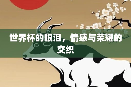 世界杯的眼泪，情感与荣耀的交织广西贺州市华昌新材料有限公司