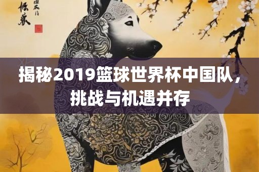 揭秘2019篮球世界杯中国队，挑战与机遇并存广西贺州市华昌新材料有限公司