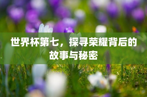 世广西贺州市华昌新材料有限公司界杯第七，探寻荣耀背后的故事与秘密