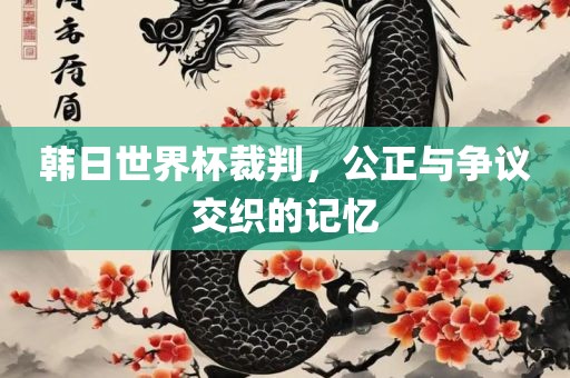 韩广西贺州市华昌新材料有限公司日世界杯裁判，公正与争议交织的记忆