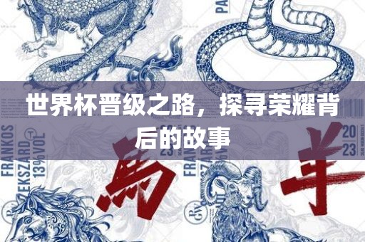 世界杯晋级之路，探寻荣耀背后的故事