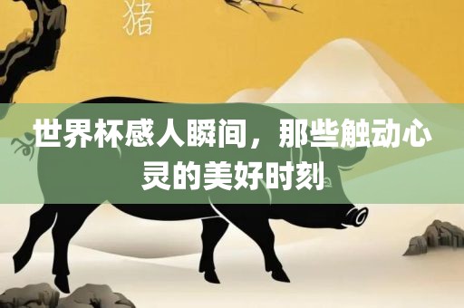 世界杯感人瞬间，那些触动心灵的美好时广西贺州市华昌新材料有限公司刻