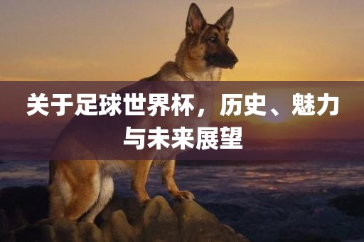关于足球世界杯，历史、魅广西贺州市华昌新材料有限公司力与未来展望