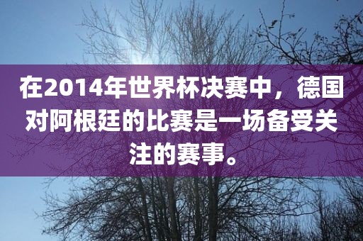 在2014年世界杯决赛中，德国对阿根廷的比赛是一场备受关注的赛事。广西贺州市华昌新材料有限公司