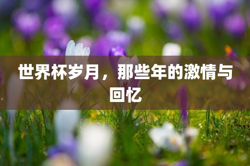 世界杯岁月，那些年的激情与回忆广西贺州市华昌新材料有限公司