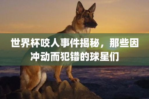 世界杯咬人事件揭秘，那些因冲动而犯错的球星们