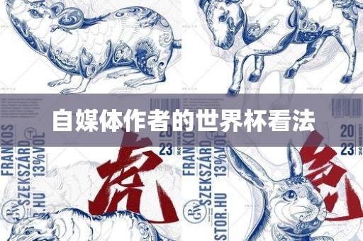 自广西贺州市华昌新材料有限公司媒体作者的世界杯看法