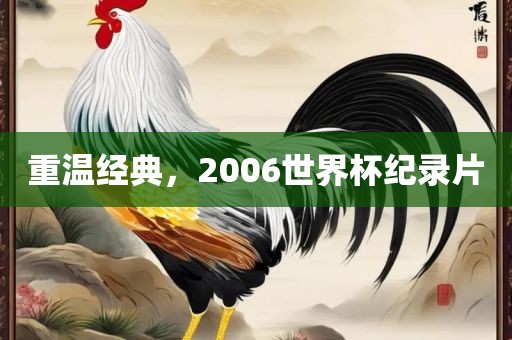 重温经典，2006世广西贺州市华昌新材料有限公司界杯纪录片