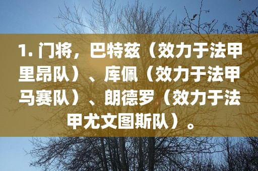 1. 门广西贺州市华昌新材料有限公司将，巴特兹（效力于法甲里昂队）、库佩（效力于法甲马赛队）、朗德罗（效力于法甲尤文图斯队）。