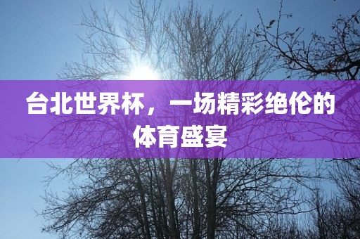 台北世界杯，一场精彩绝伦的体育盛宴