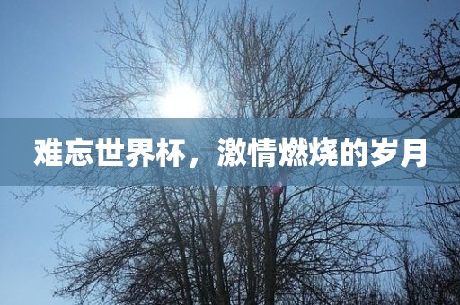 难忘世界杯，激情燃烧的岁月广西贺州市华昌新材料有限公司
