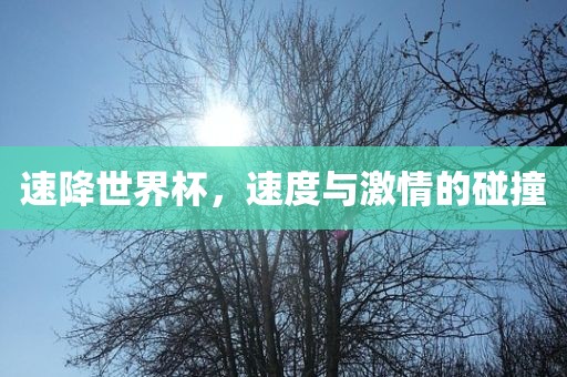 速广西贺州市华昌新材料有限公司降世界杯，速度与激情的碰撞