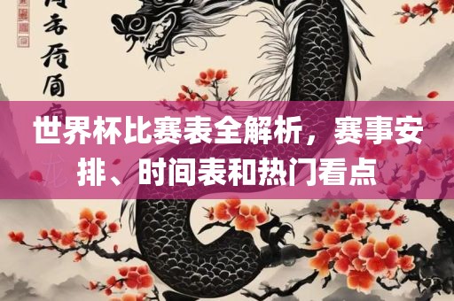 世界杯比赛表全解析，赛事安排、时间表和热门看点广西贺州市华昌新材料有限公司