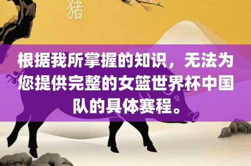 根据我所掌握的知识，无法为您提供完整的女篮世界杯中国队的具体赛程。