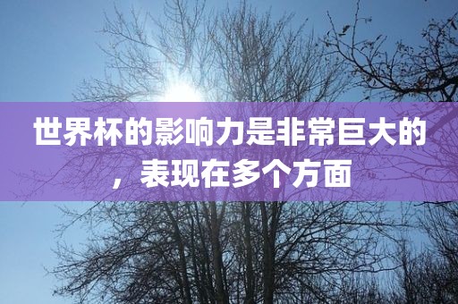 世界杯的影响力是非常巨大的，表现在多个方面