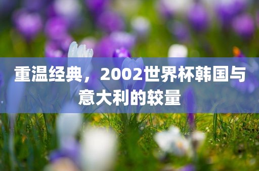重温经典，2002世界杯韩国与意大利的较量广西贺州市华昌新材料有限公司