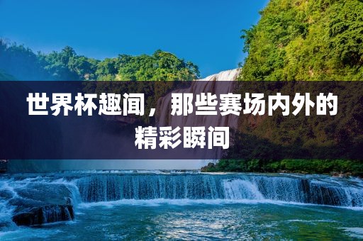 世界杯趣闻，那些赛场内外的精彩瞬间