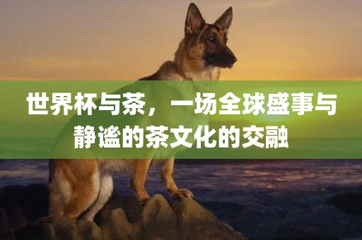 世界杯与茶，一场全球盛事与静谧的茶文化的交融广西贺州市华昌新材料有限公司