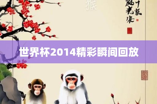 世界杯2014精彩瞬间回放