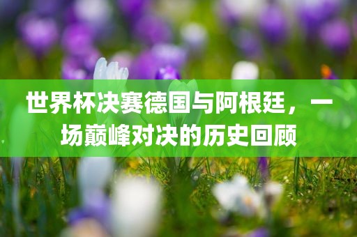 世界杯决赛德国与阿根廷，一场巅峰对决的历史回顾广西贺州市华昌新材料有限公司
