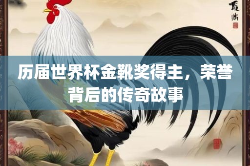 历届世界杯金靴奖得主，荣誉背后的传奇故事广西贺州市华昌新材料有限公司
