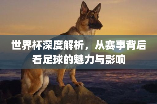 世界杯深度解析，从赛广西贺州市华昌新材料有限公司事背后看足球的魅力与影响