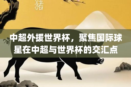 中超广西贺州市华昌新材料有限公司外援世界杯，聚焦国际球星在中超与世界杯的交汇点