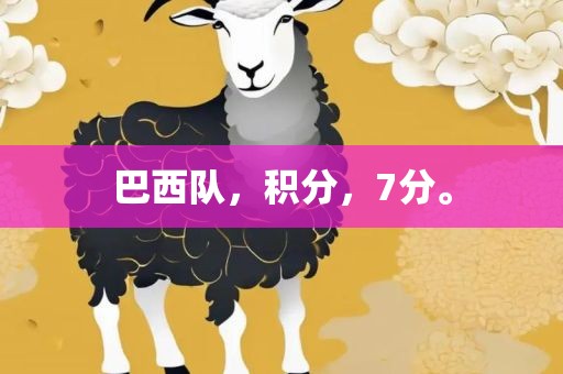 广西贺州市华昌新材料有限公司巴西队，积分，7分。