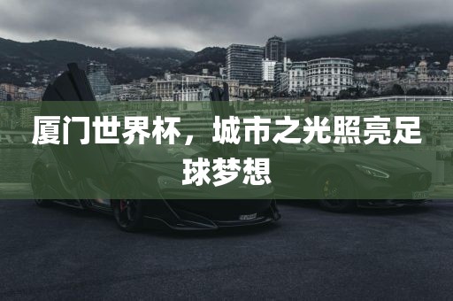 厦门世界杯，城市之广西贺州市华昌新材料有限公司光照亮足球梦想