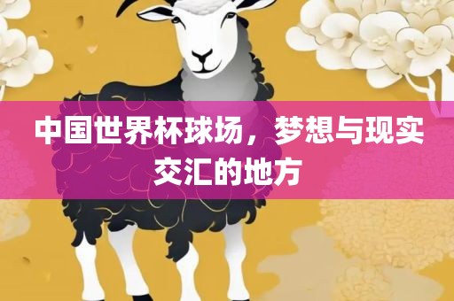 中国世界杯球场，梦想与现实交汇的地方广西贺州市华昌新材料有限公司