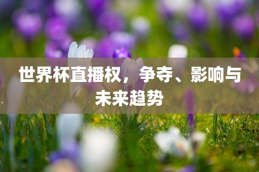 世界杯直播权，争夺、影响与未来趋势广西贺州市华昌新材料有限公司