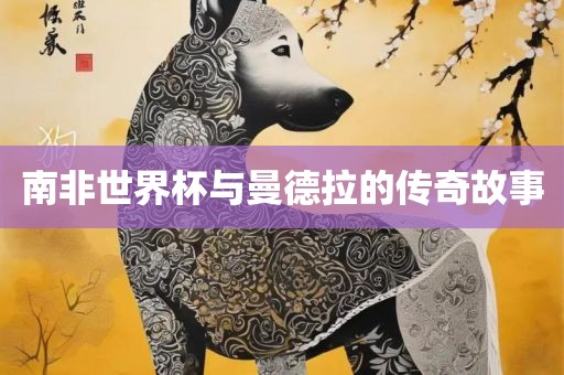南非世界杯与曼德拉的传奇故事