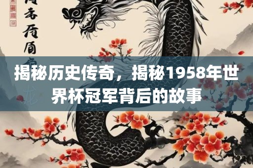 揭秘历史传奇，揭秘1958年世界杯冠军背后的故事广西贺州市华昌新材料有限公司