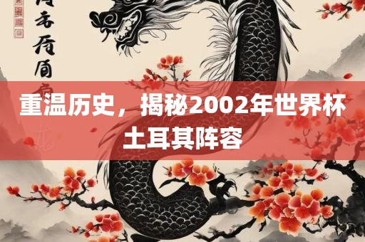 重温历史，揭秘2002年世界杯土耳其阵容