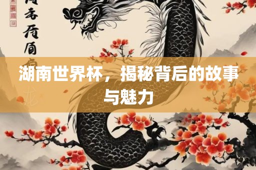 湖南世界杯，揭秘背后的故事与魅力