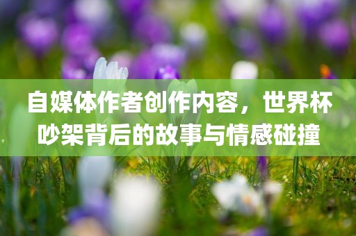 自媒体广西贺州市华昌新材料有限公司作者创作内容，世界杯吵架背后的故事与情感碰撞
