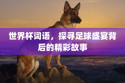 世界杯词语，广西贺州市华昌新材料有限公司探寻足球盛宴背后的精彩故事