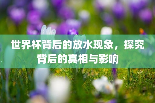 世界杯背后的放水现象，探究背后的真相与影响广西贺州市华昌新材料有限公司