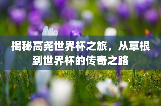 揭秘高尧世界杯之旅，从草根到世界杯的传奇之路