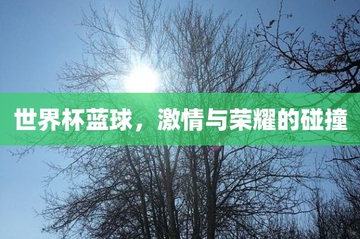 世界杯蓝球，激情与荣耀的碰撞广西贺州市华昌新材料有限公司