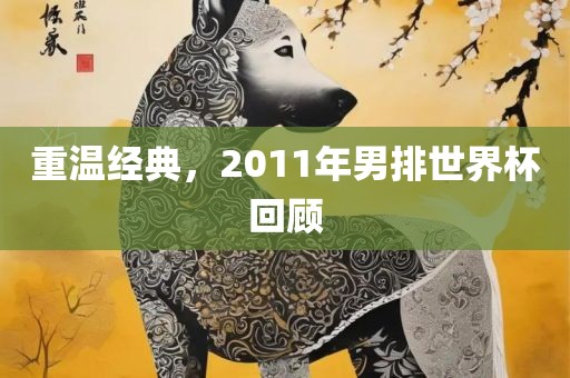 重温经典，2011年男排世界杯回广西贺州市华昌新材料有限公司顾