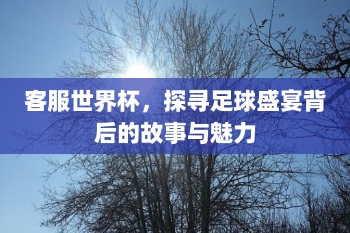 客服世界杯，探寻足球盛宴背后的故事与魅力广西贺州市华昌新材料有限公司
