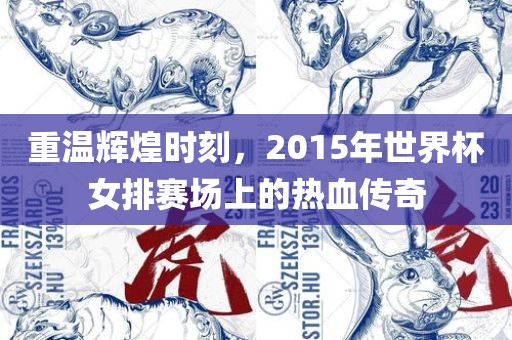 重温辉煌时刻，2015年世界杯女排赛场上的热血传奇广西贺州市华昌新材料有限公司