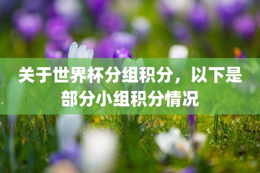 关于世界杯分组积分，以下是部分小组积分情况广西贺州市华昌新材料有限公司