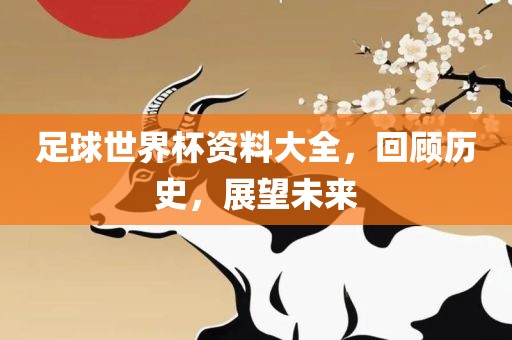 历史与未来展望 第3页