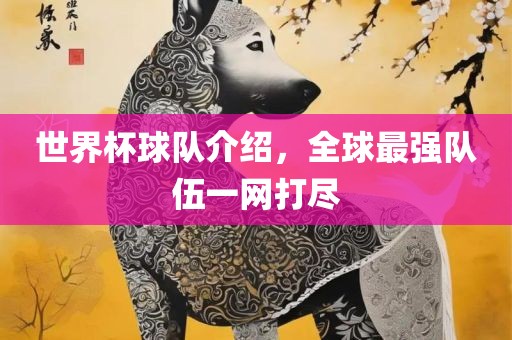 世界杯球队介绍，全球最强队伍一网打尽广西贺州市华昌新材料有限公司