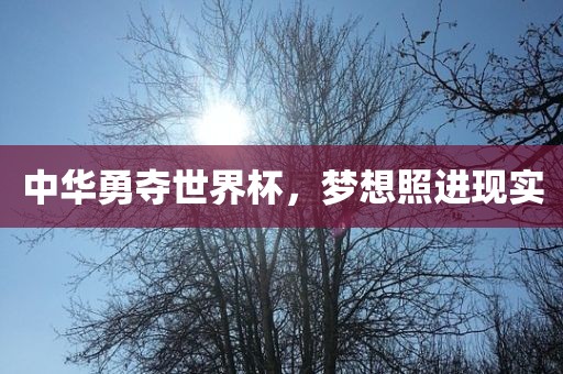 中华勇夺世界杯，梦想照进现实