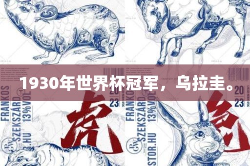 1930年世界杯冠军，乌拉圭。