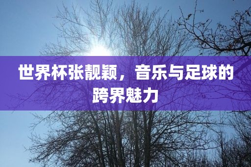 世界杯张靓颖，音乐与足球的跨界魅力
